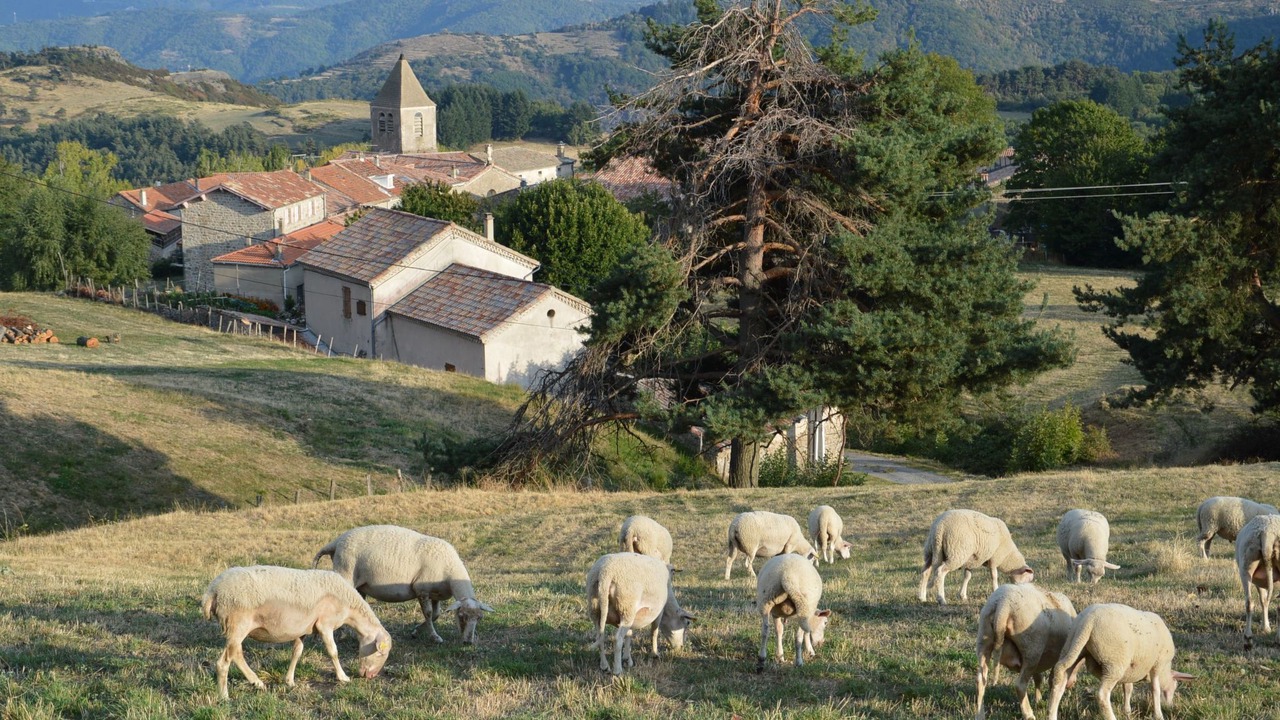 Photo of Others in Gluiras