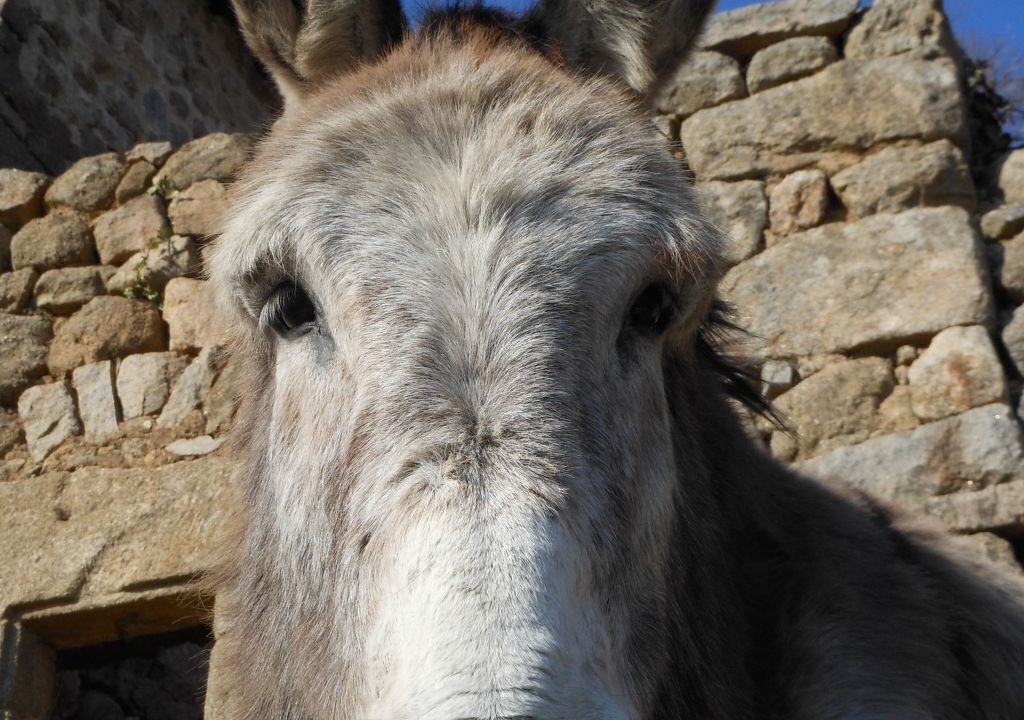Photo of Others in Gluiras