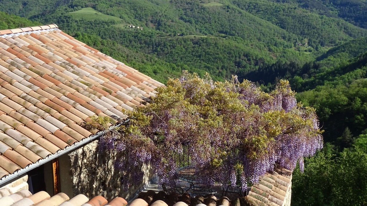 Photo of Others in Gluiras