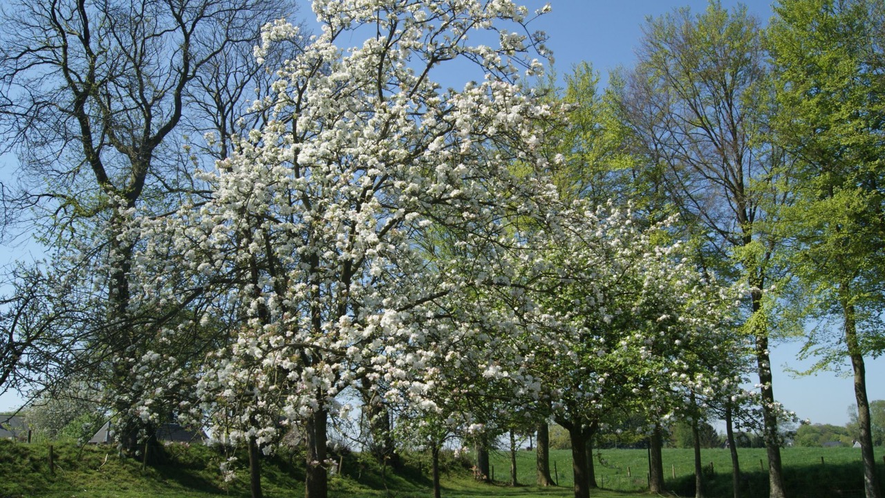 Photo of Others in Bretteville-du-Grand Caux