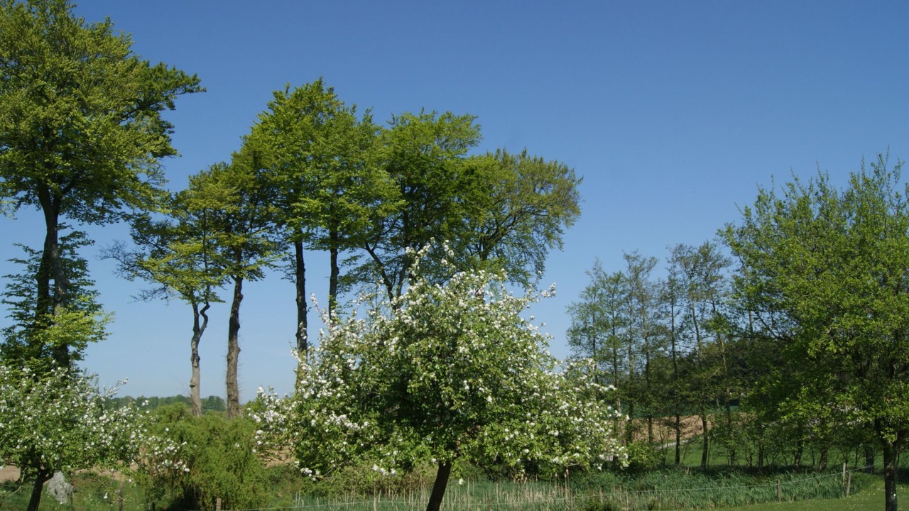 Photo of Others in Bretteville-du-Grand Caux