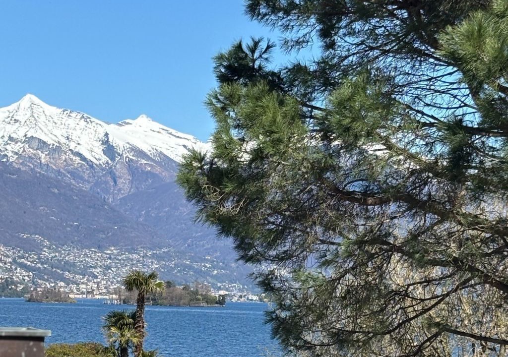 Photo of Others in Brissago