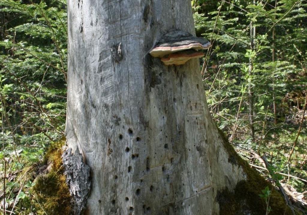 Photo of Others in Nuegg