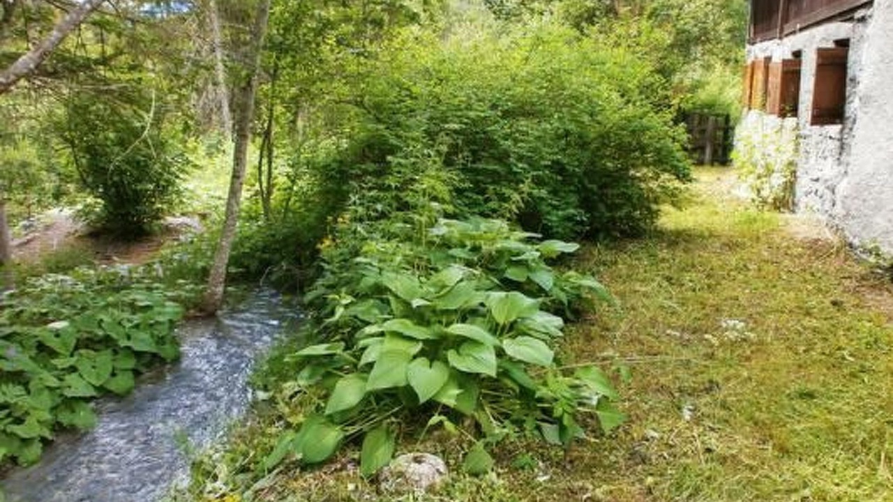 Photo of Outdoor in Sent