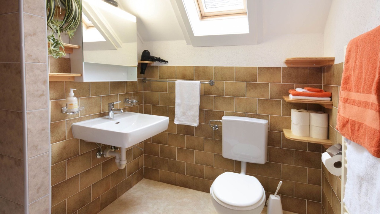 Photo of Bathroom in Steckborn