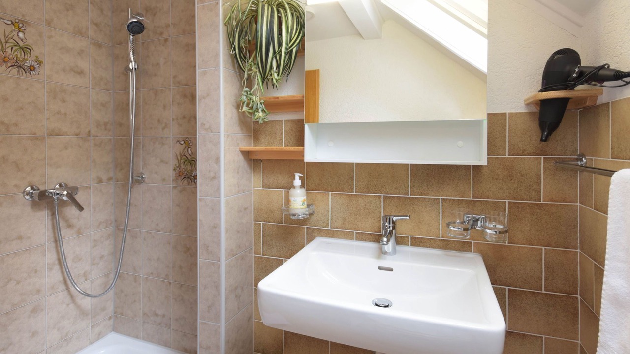 Photo of Bathroom in Steckborn
