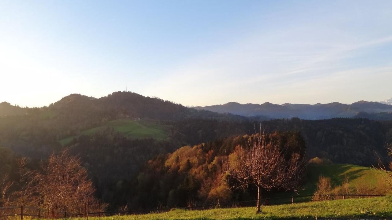 Photo of Others in Pfaffikon District