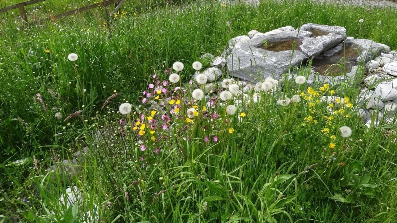 Photo of Outdoor in Pfaffikon District