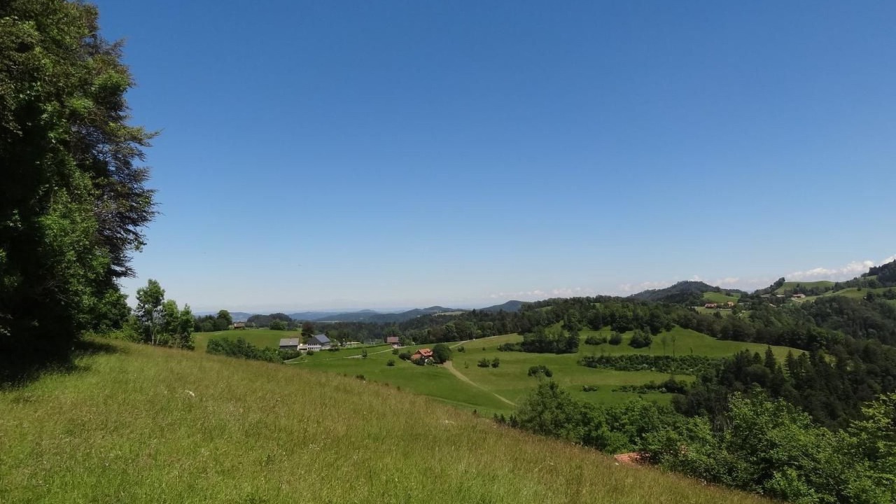 Photo of Others in Pfaffikon District