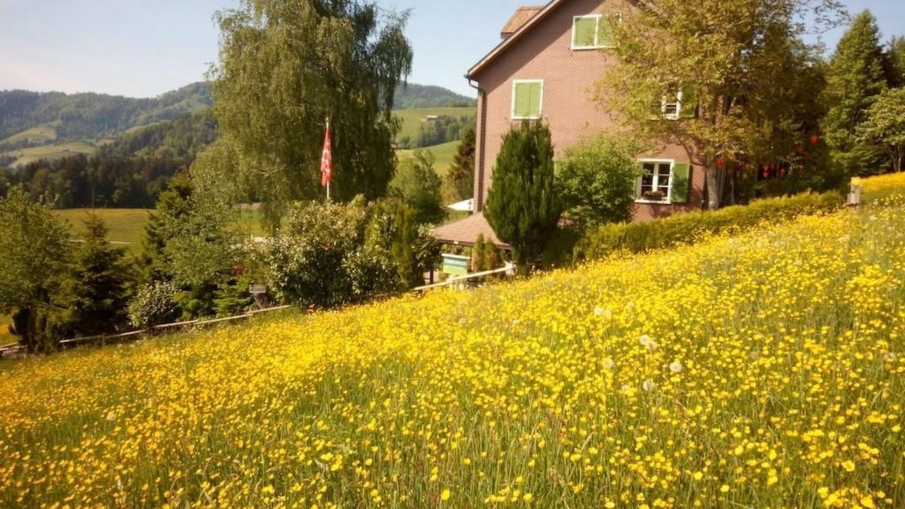 Photo of Others in Hemberg