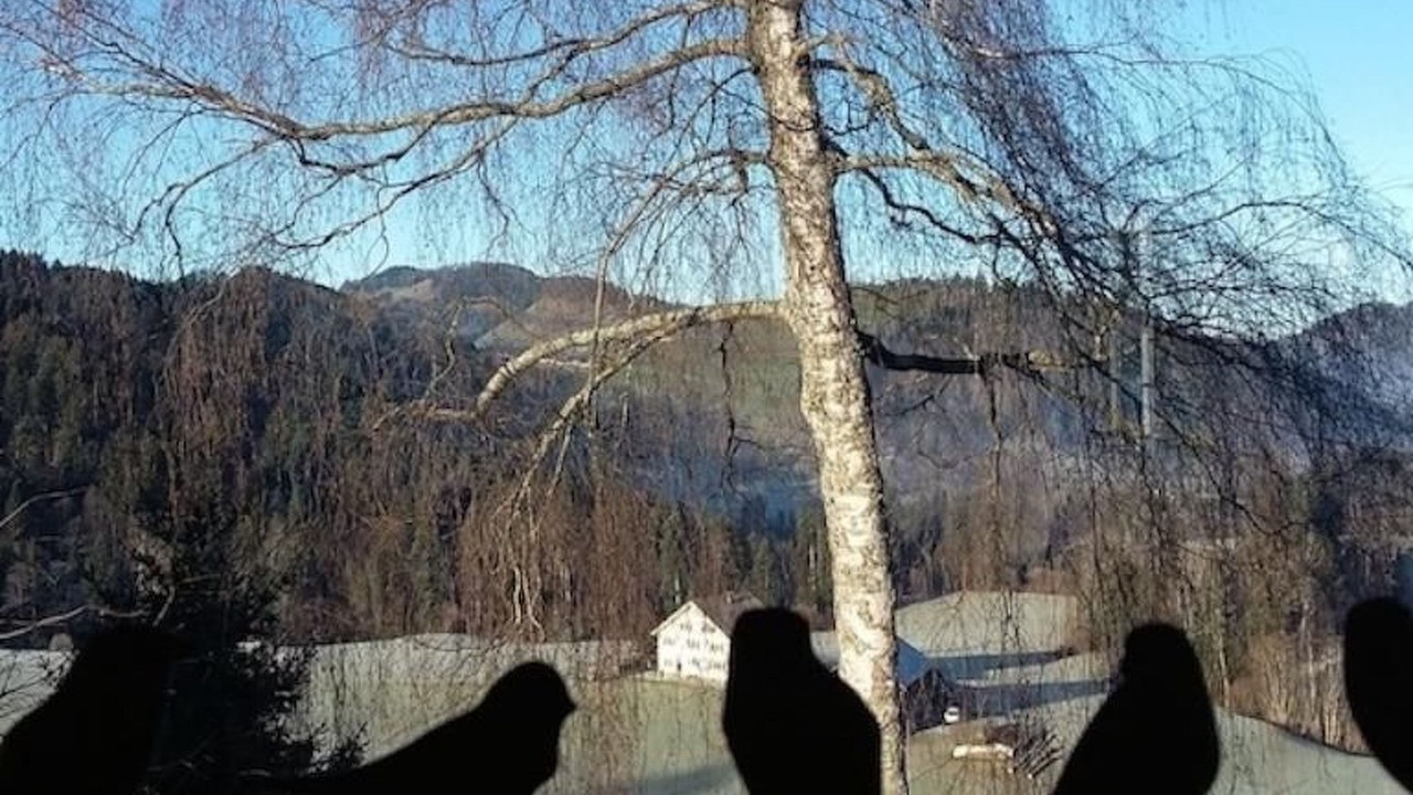 Photo of Others in Hemberg