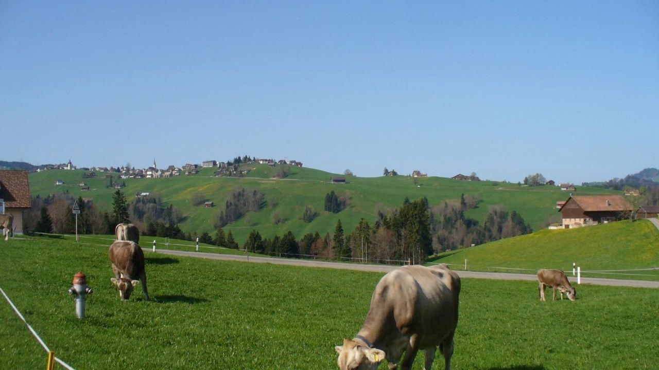 Photo of Others in Hemberg