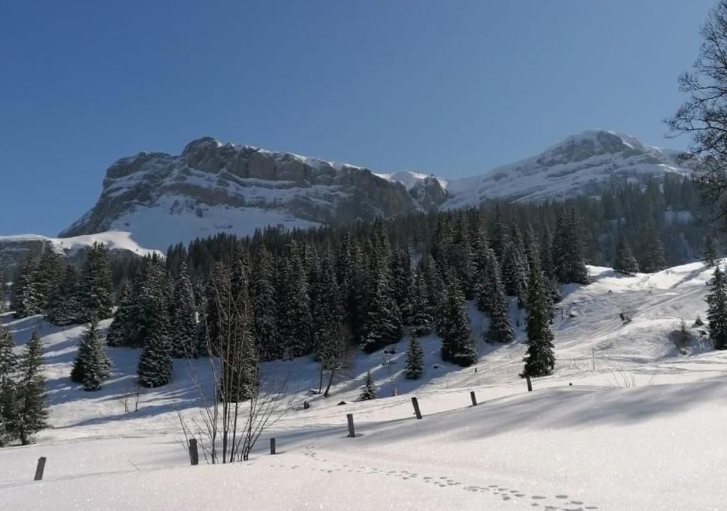 Photo of Others in Axalp