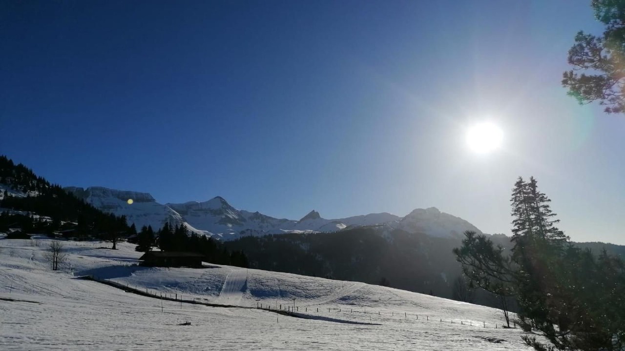 Photo of Others in Axalp
