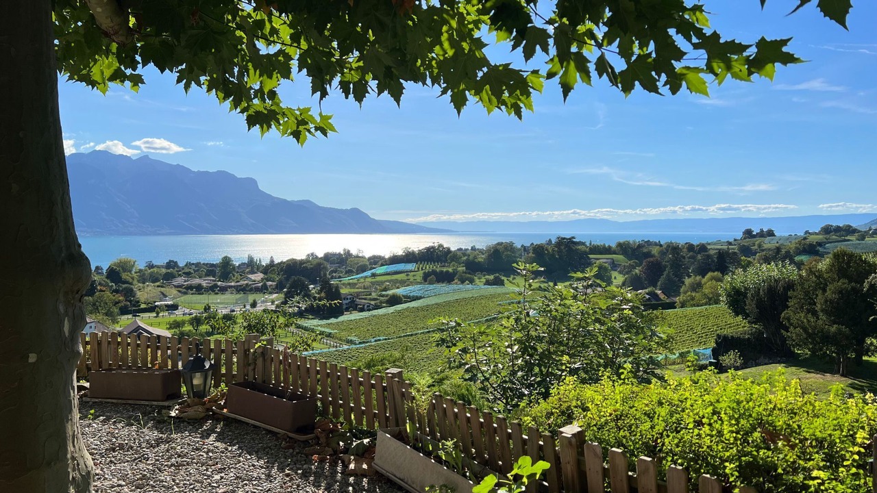 Photo of Outdoor in Montreux