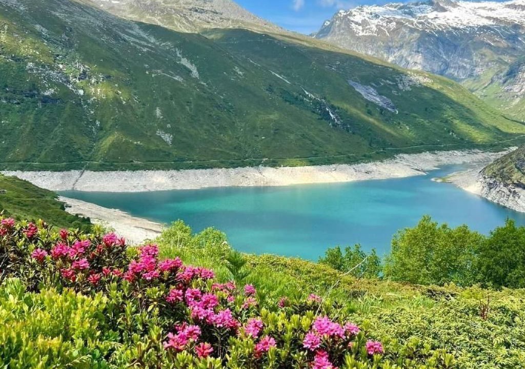 Photo of Others in Vals