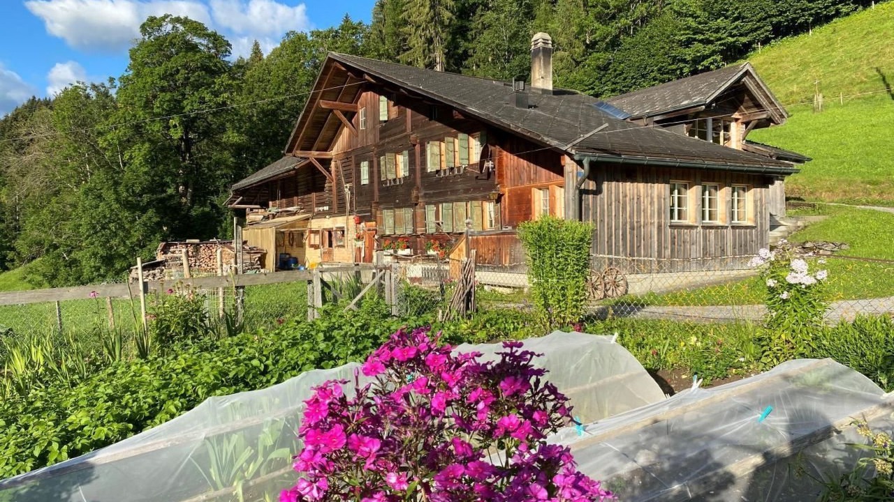 Photo of Others in Zweisimmen