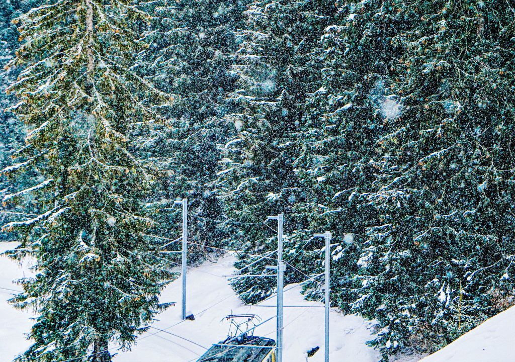 Photo of Others in Murren
