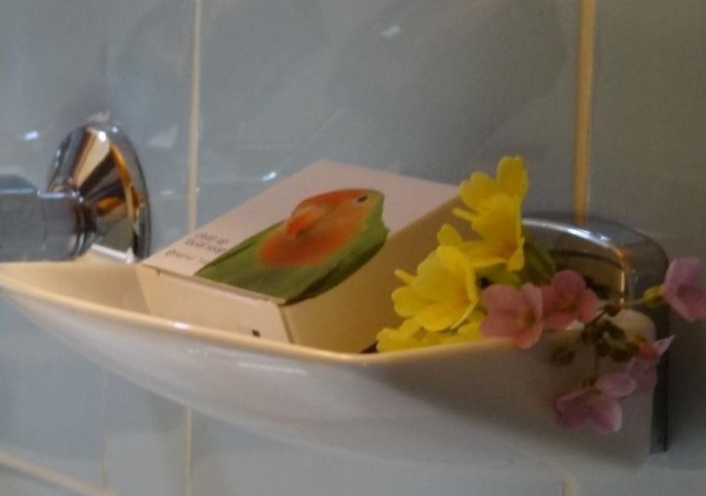 Photo of Bathroom in Axalp