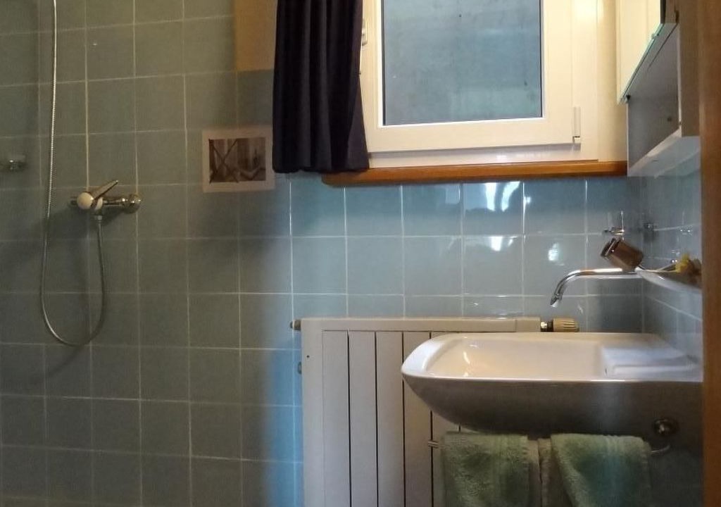 Photo of Bathroom in Axalp