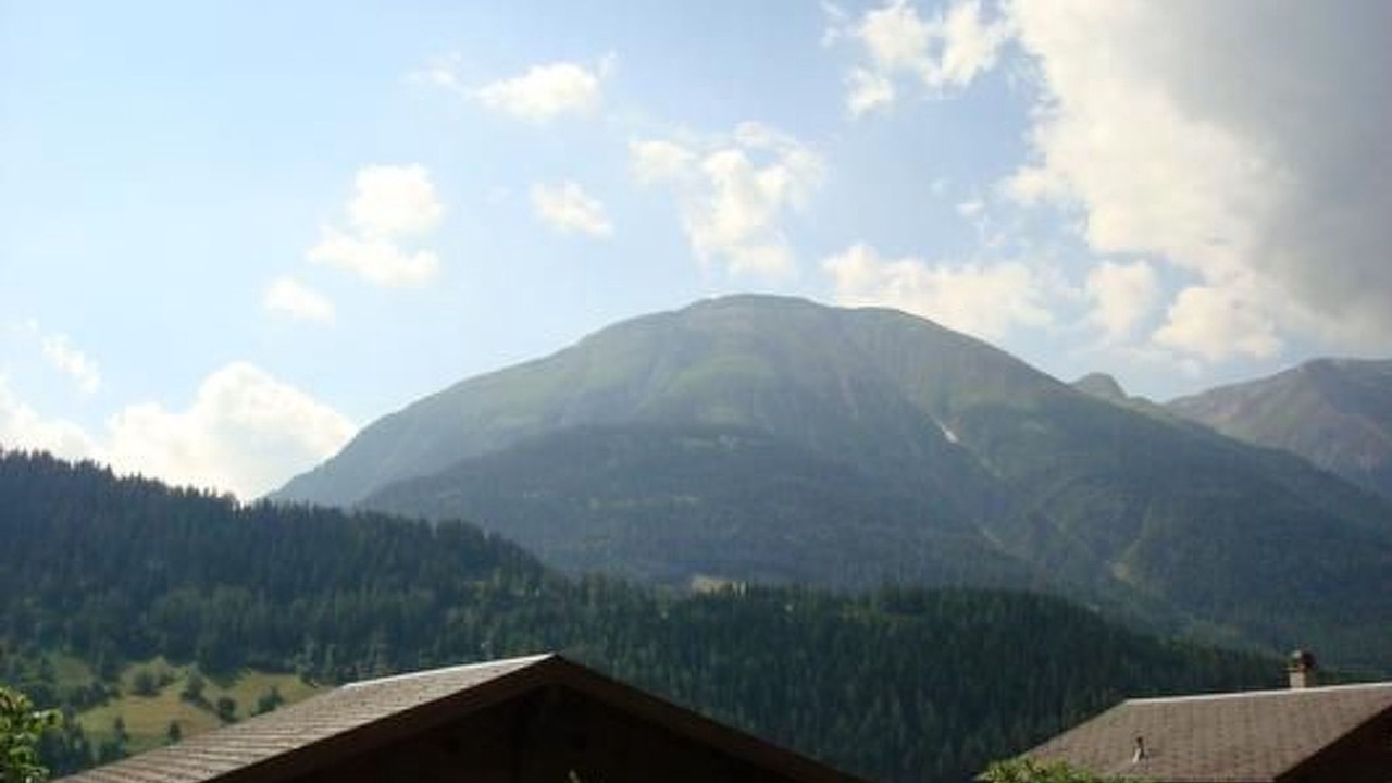 Photo of Others in Fiesch