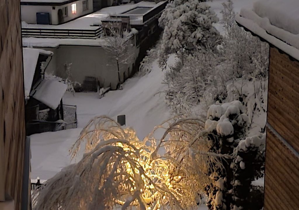 Photo of Others in Flims