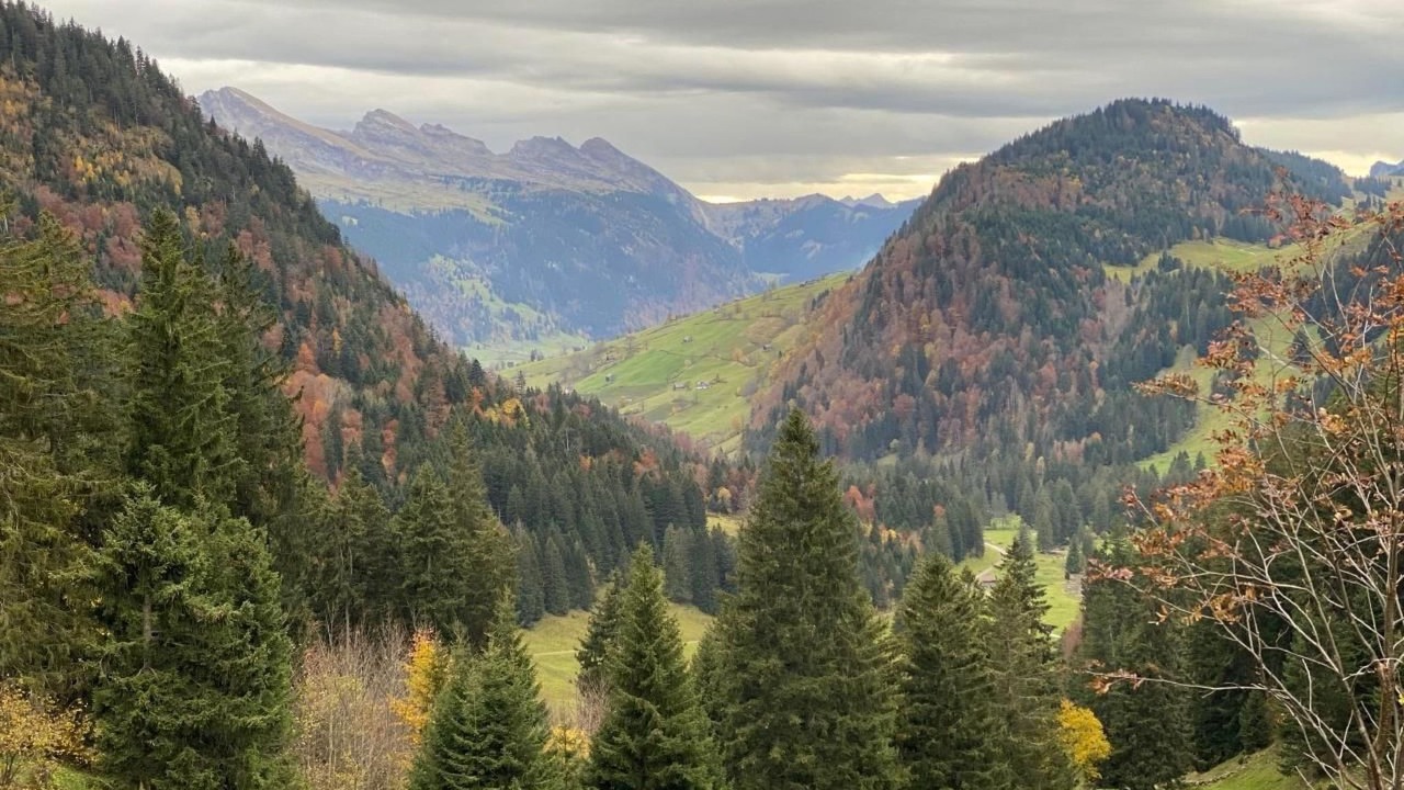 Photo of Others in Krummenau