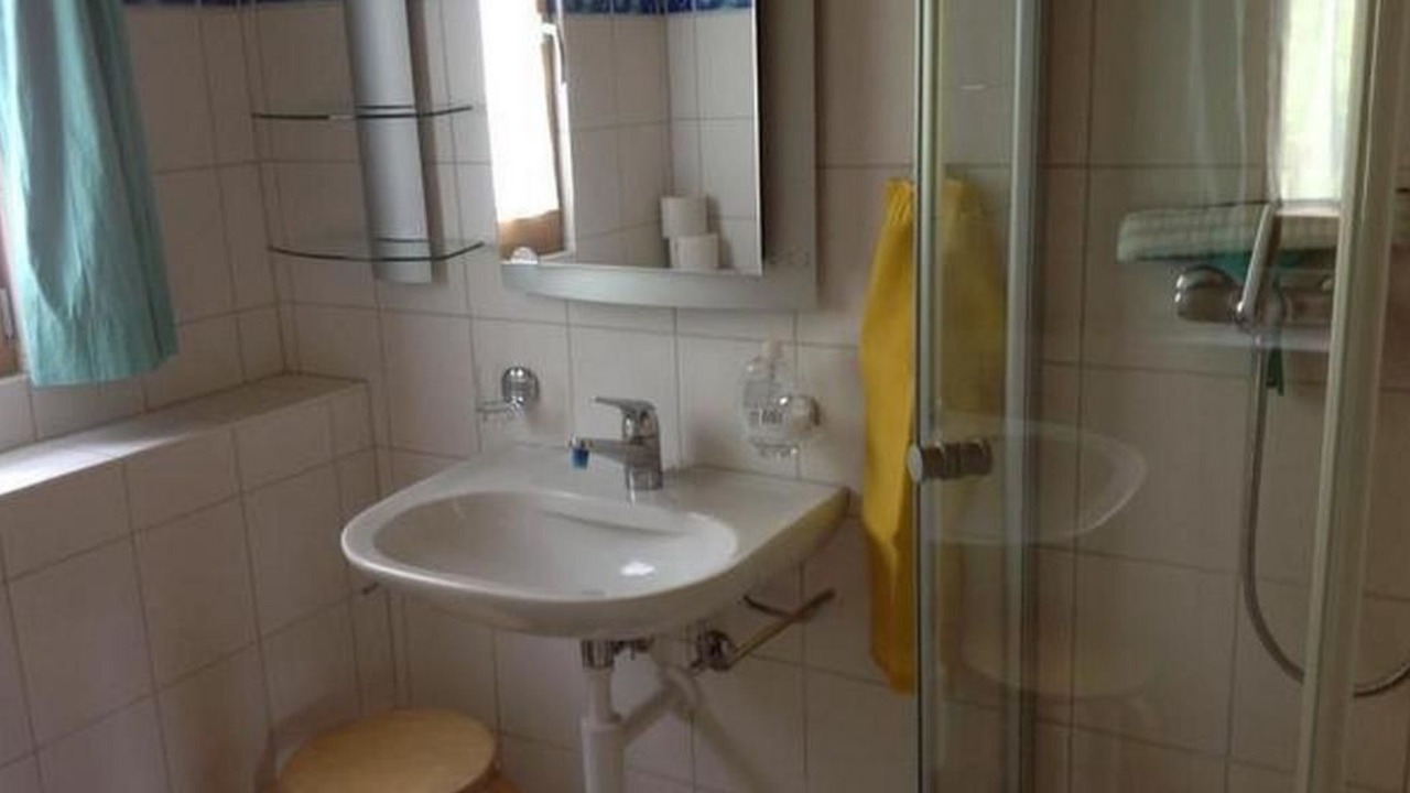 Photo of Bathroom in Lenk