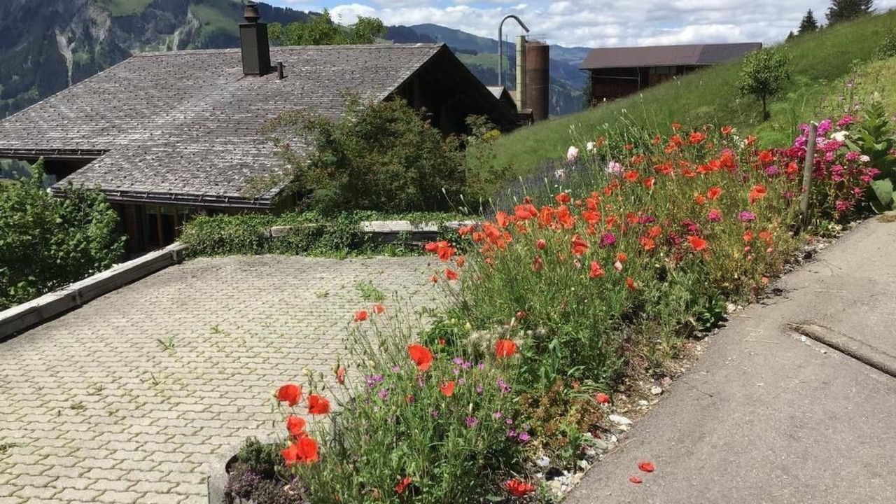 Photo of Outdoor in Lenk