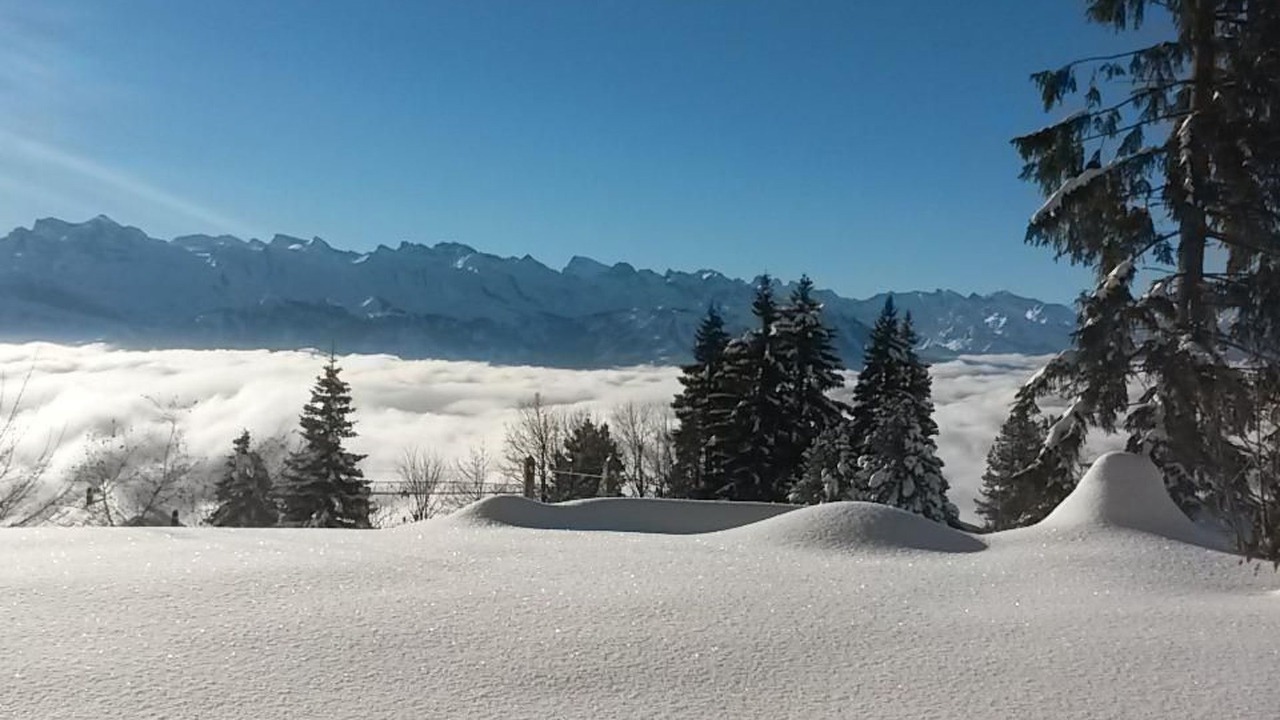 Photo of Others in Rigi Kaltbad