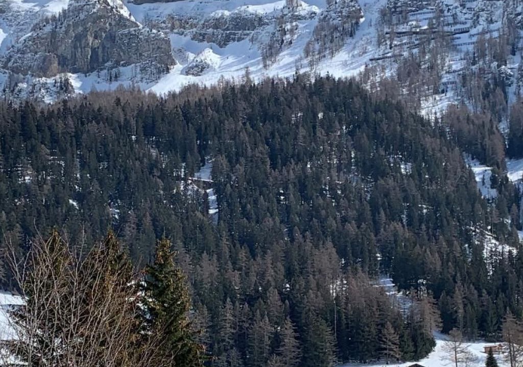 Photo of Others in Leukerbad
