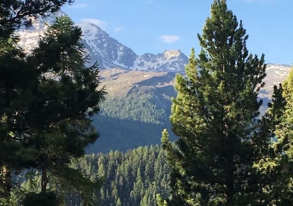 Photo of Others in Champfer