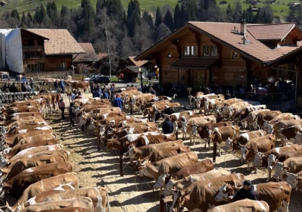 Photo of Others in Habkern