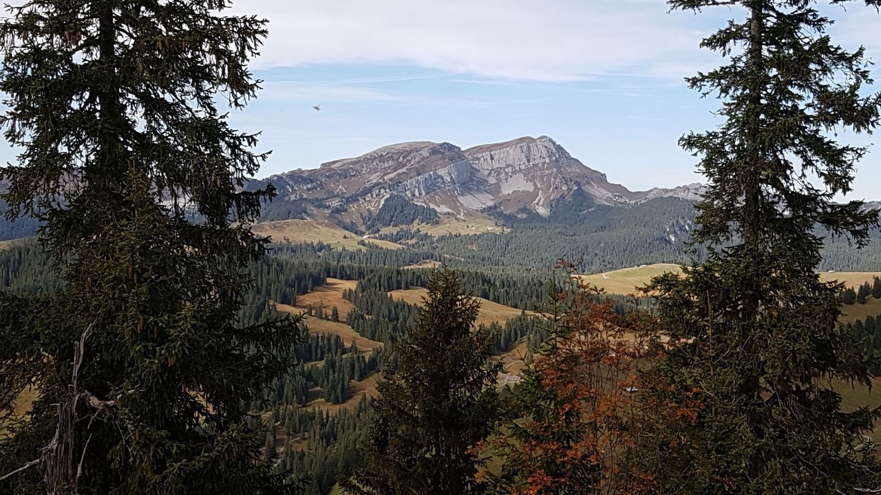 Photo of Others in Habkern