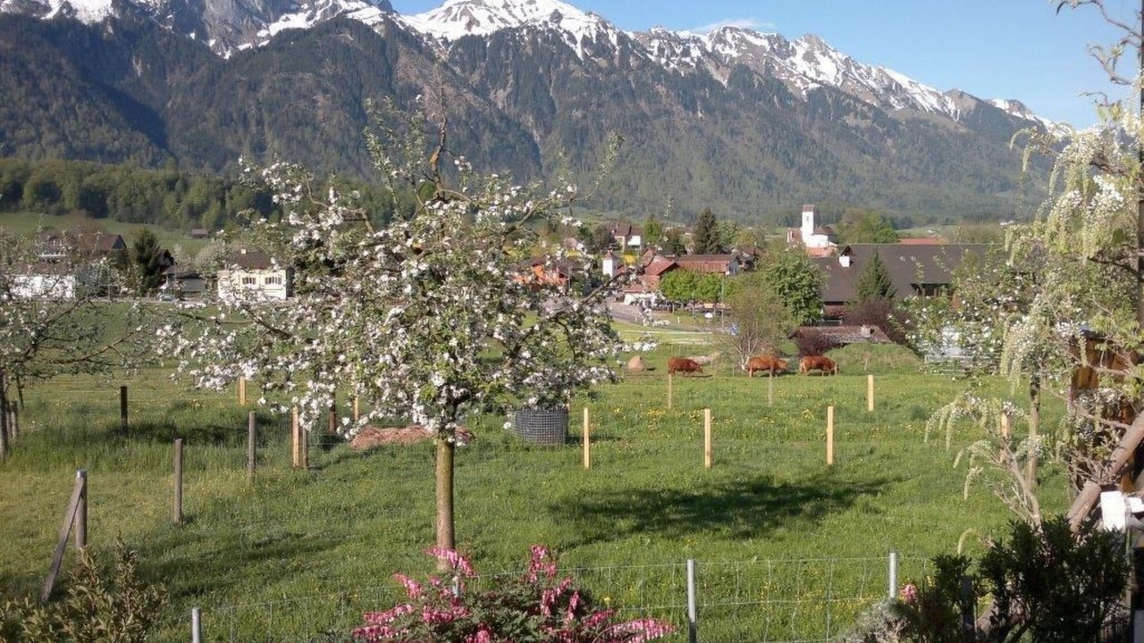 Photo of Outdoor in Amsoldingen