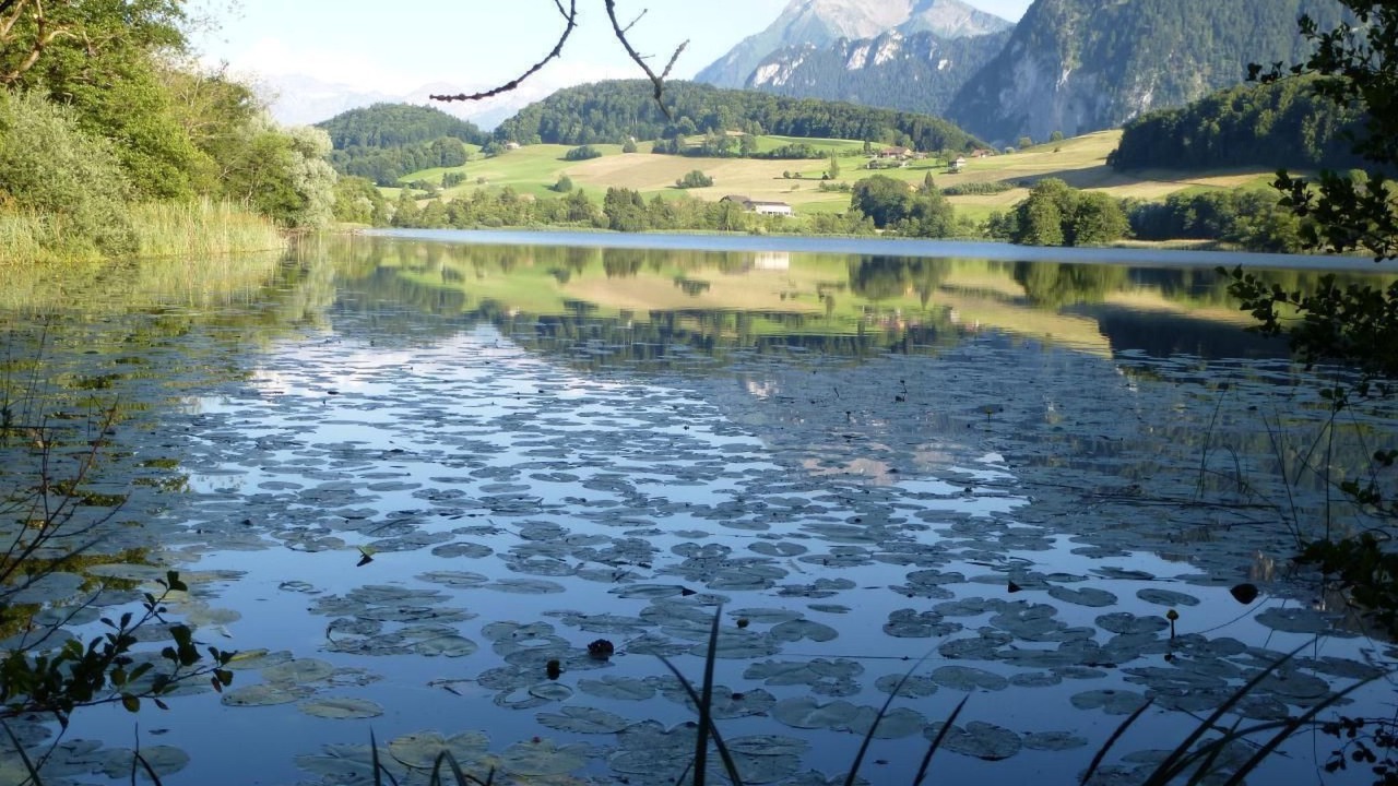 Photo of Others in Amsoldingen