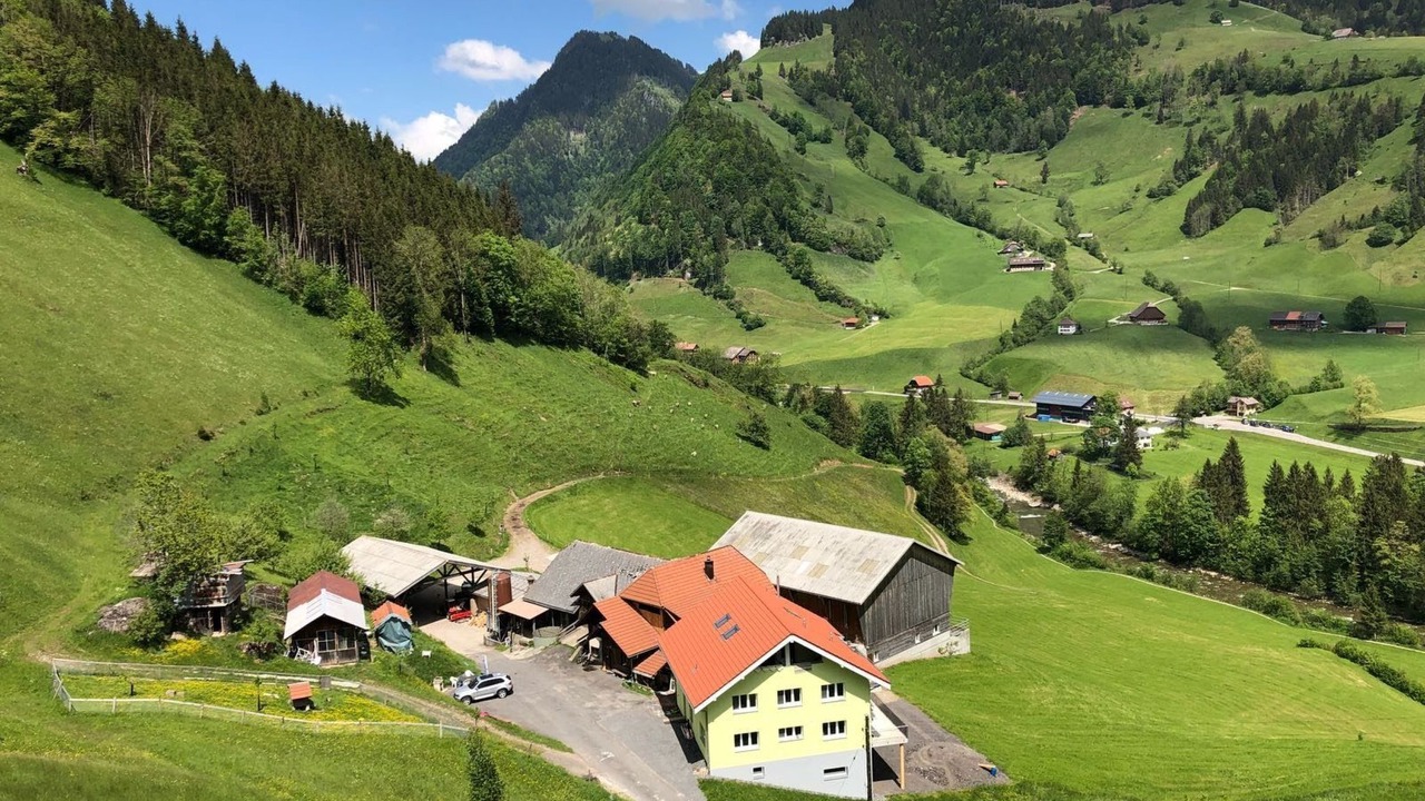 Photo of Others in Fluehli