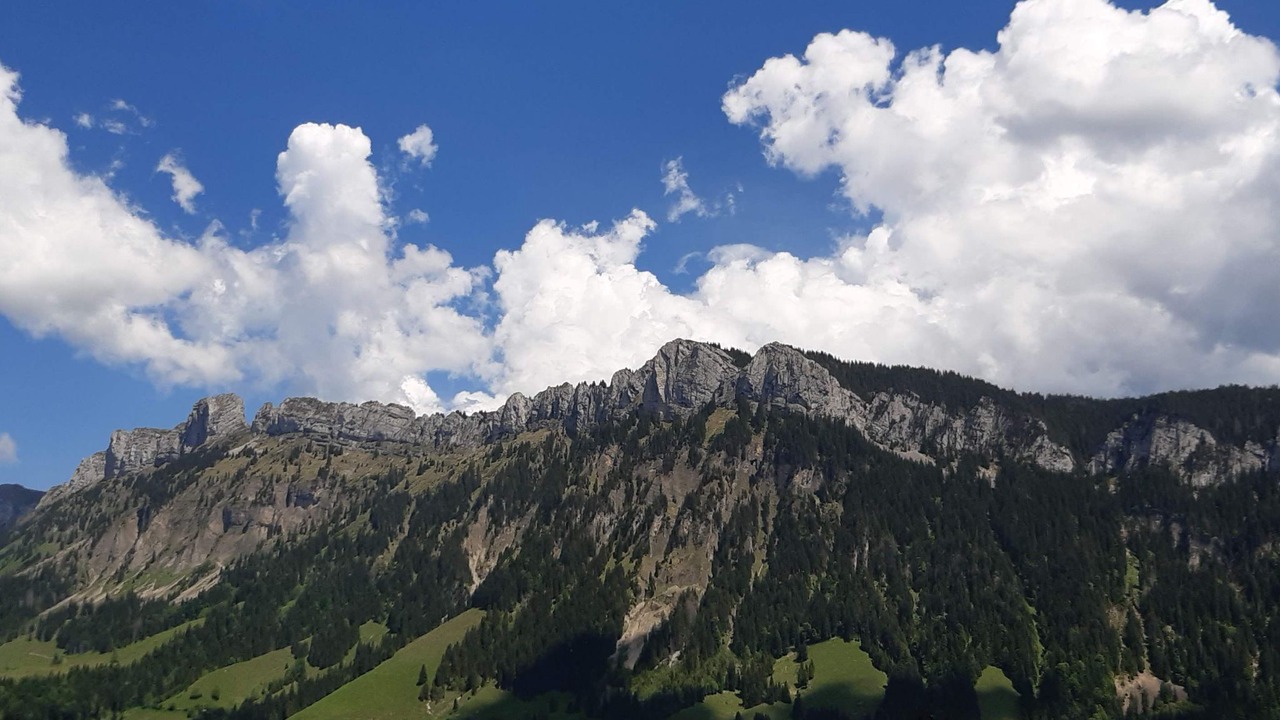 Photo of Others in Fluehli