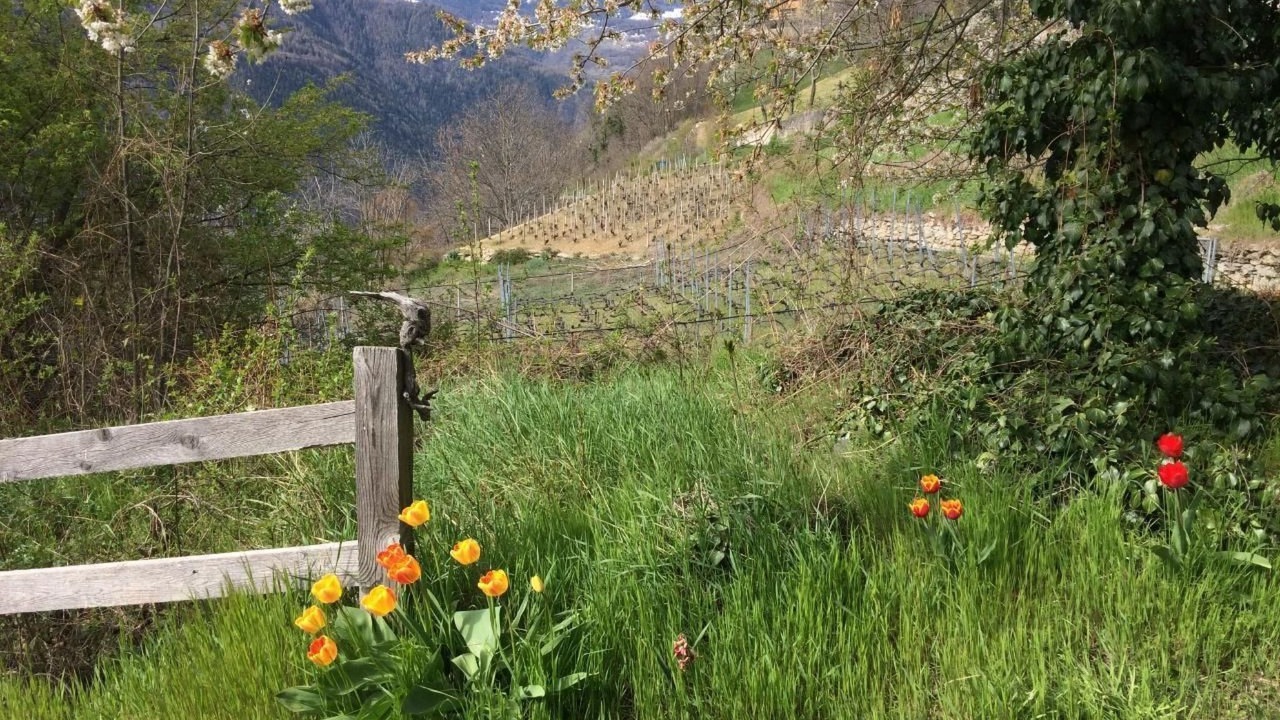 Photo of Outdoor in Ausserberg