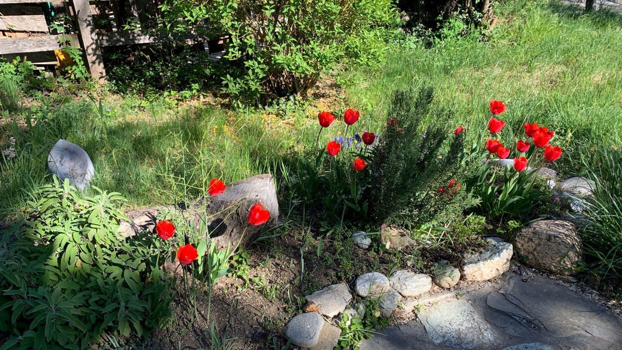 Photo of Outdoor in Ausserberg