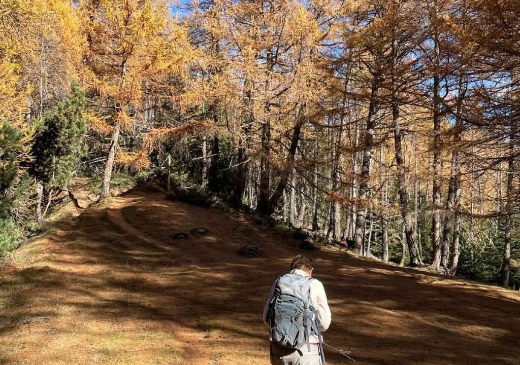 Photo of Others in Ausserberg