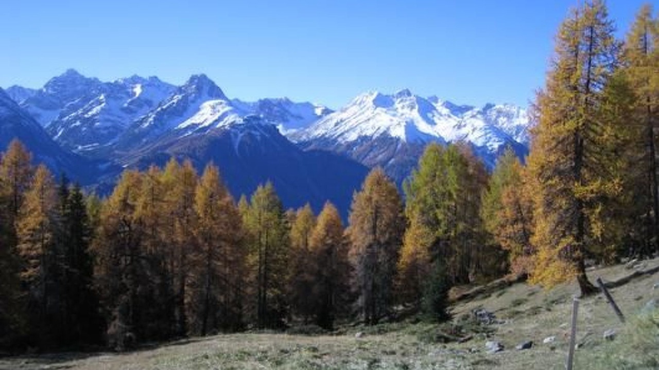 Photo of Others in Engadin Scoul