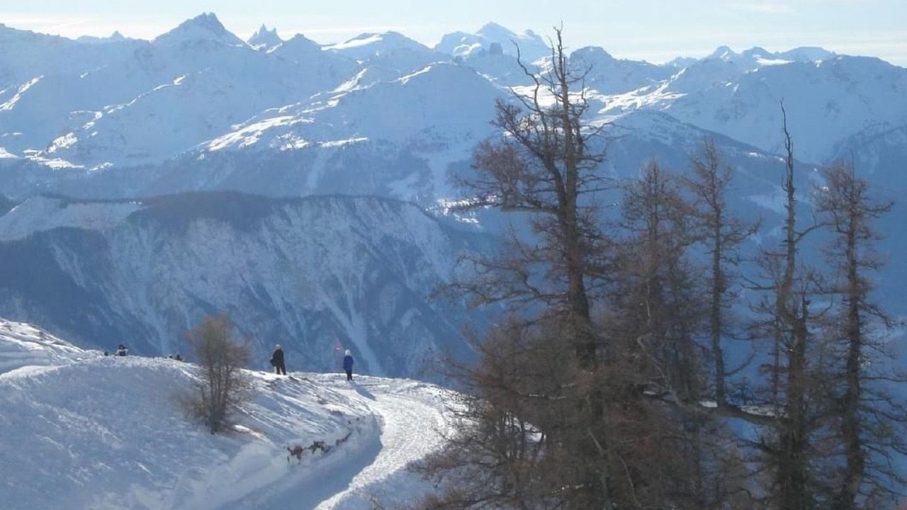 Photo of Others in Albinen