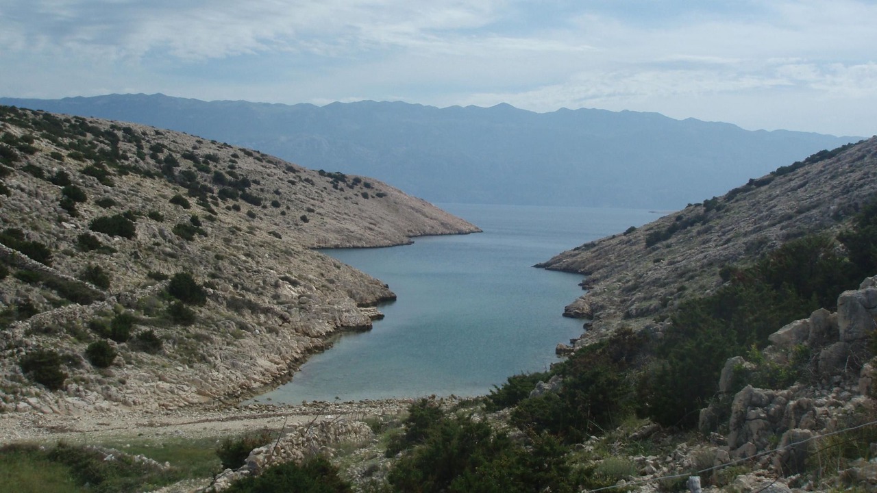 Photo of Others in Novalja