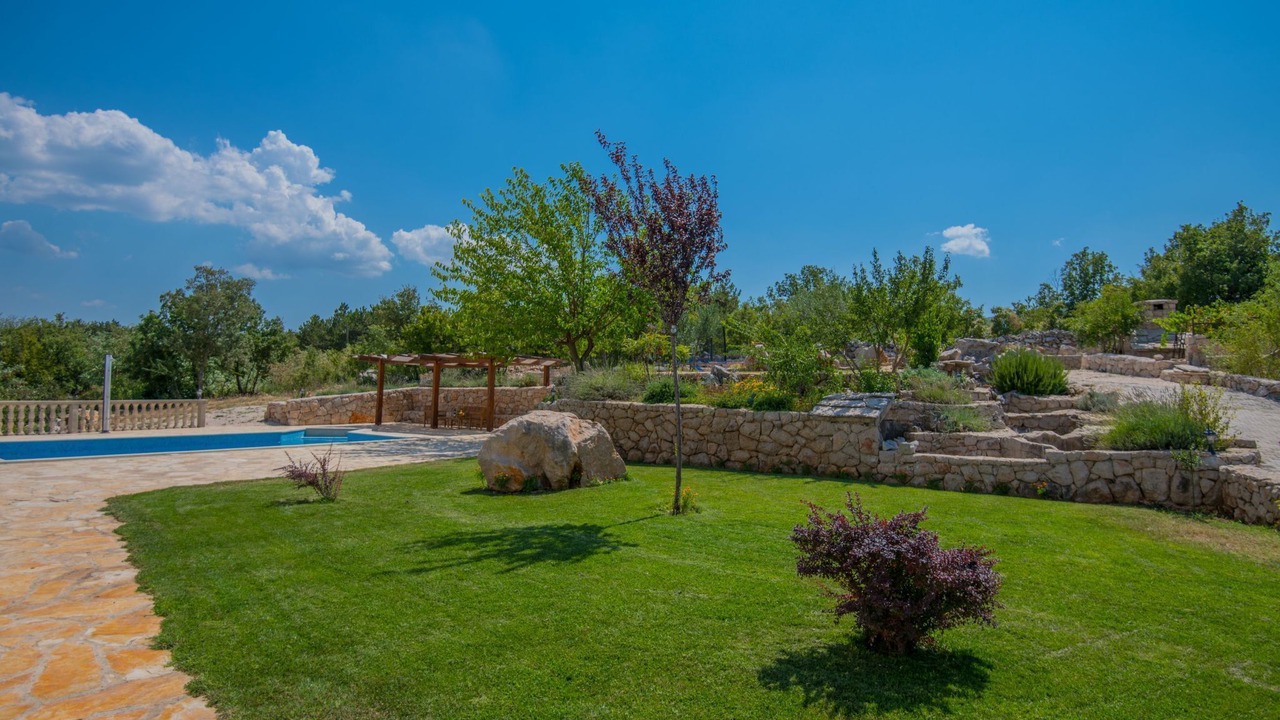 Photo of Others in Grubine