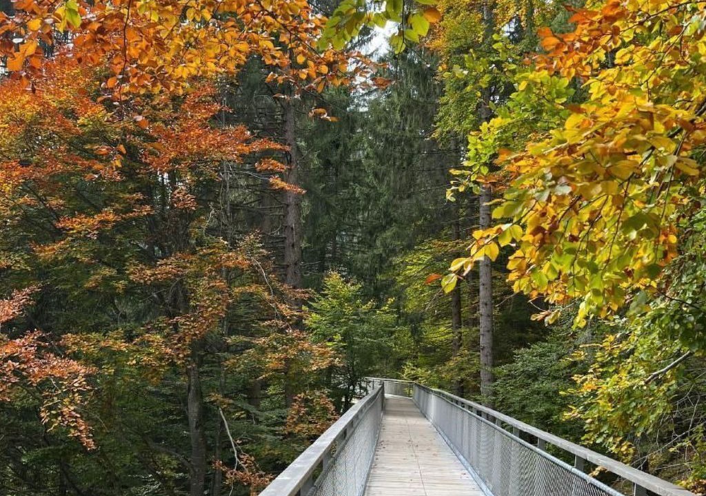 Photo of Others in Laax