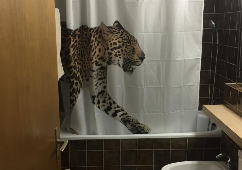 Photo of Bathroom in Disentis
