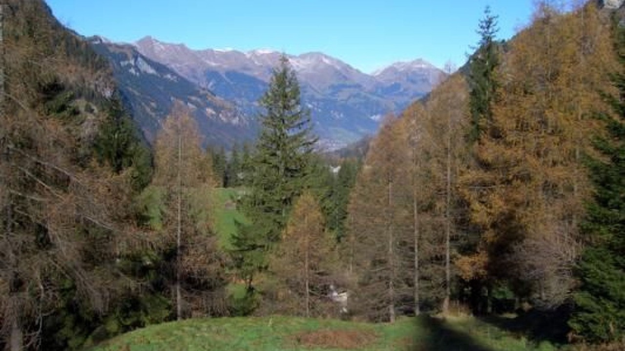 Photo of Others in Frutigen