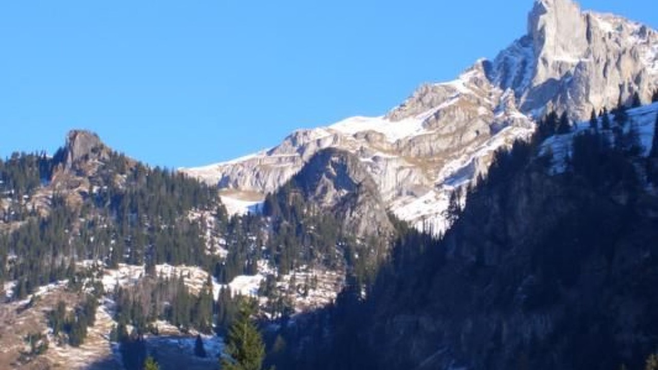 Photo of Others in Frutigen