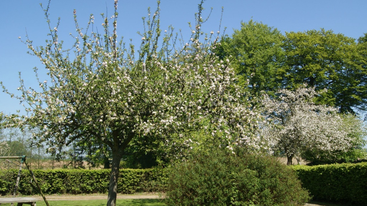 Photo of Others in Bretteville-du-Grand Caux